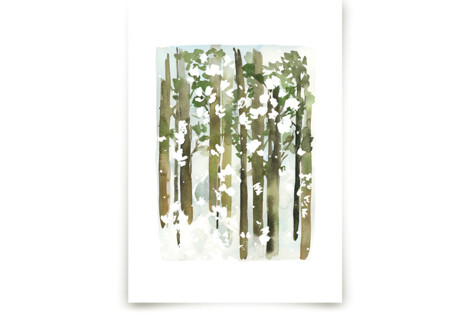Forest Snow Fine Art Prints