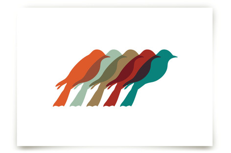 Mod Birds Fine Art Prints