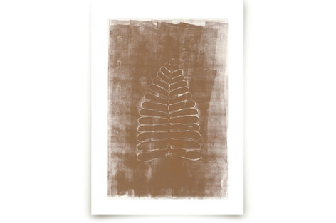 Contemporary Botanical Series 1 Fine Art Prints