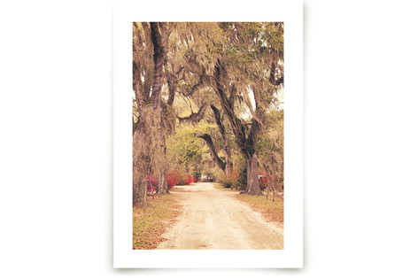 Bonaventure Fine Art Prints