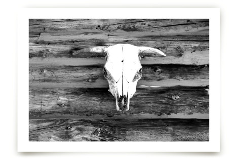 Time Tells Fine Art Prints