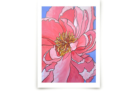 A Single Bloom Fine Art Prints