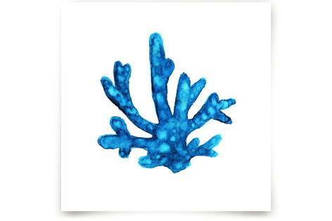 Blue Coral Fine Art Prints