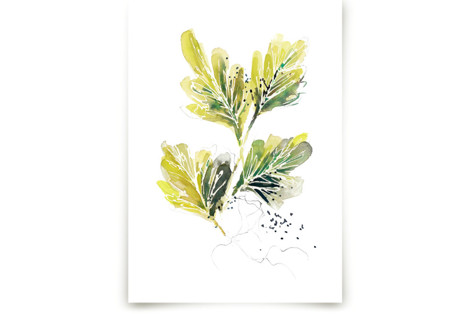 Tangle Fine Art Prints