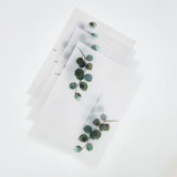 Eucalyptus Vellum Jackets (Set of 10) Invitation Jackets and Overlays