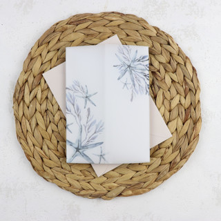 Blue Beach Starfish Vellum Jackets | Size 5x7 | Set of 25 Invitation Jackets and Overlays