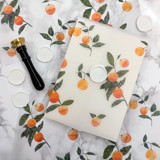 Orange Vellum Wrap (10 Pack) Invitation Jackets and Overlays