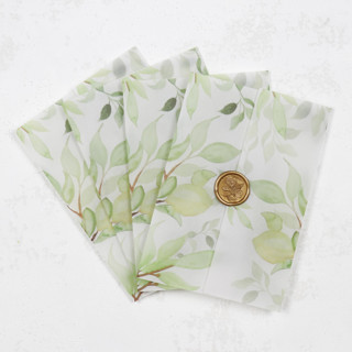 Lemon Citrus Vellum Jackets | Size 5x7 | Set of 25 Invitation Jackets and Overlays