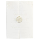 Translucent Vellum Jackets for 5x7 Invitation, Set of 10 Invitation Jackets and Overlays