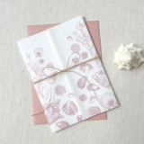 Seashell Vellum Jacket | Set of 10 | Neutral & Pink Color Options Invitation Jackets and Overlays