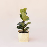 All Natural Storage Basket Decorative Storage