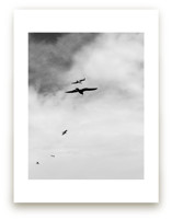 Soaring Trio 3 by Three Wings North