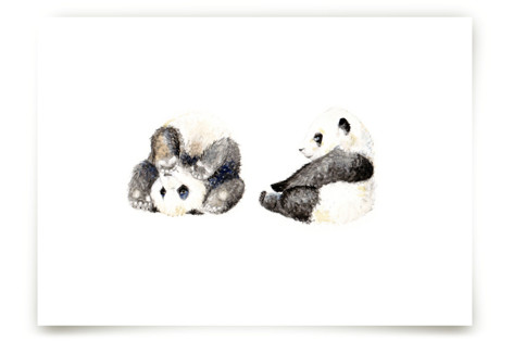 Playful pandas Children's Art Prints
