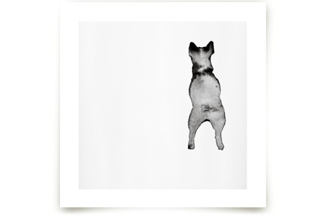 Fixating Ted  Children's Art Prints