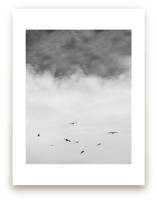 Soaring Trio 2 by Three Wings North