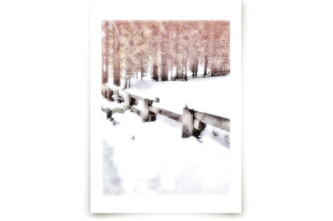 Dreamy Winter Fine Art Prints