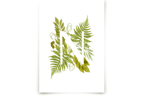Floral Monogram with Fern. Letter N Fine Art Prints