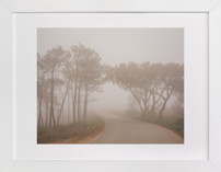 Misty road