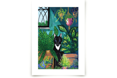 Indoor Jungle Fine Art Prints