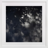 Quietly Revealing