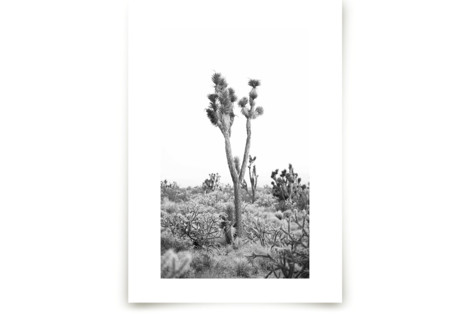 Vito Fine Art Prints