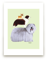 Herding Dogs by Tracy Ann