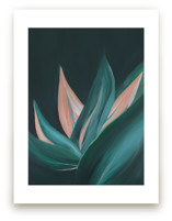 Agave after Dark by Karen Kaul