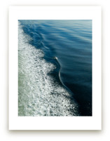 Wake Dance by Sea and Sky