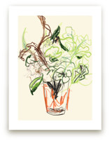 Camelias and geraniums by Bethania Lima