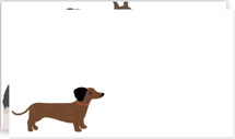 Pooch