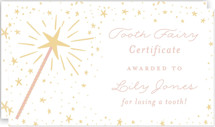 Tooth Fairy Mini Note Cards
