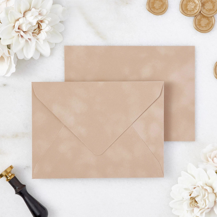 Camel Velvet Envelopes Envelopes by Michelle C. Minted