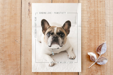 Ruff Year / Love + Pawsitivity Custom Stationery