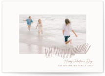 Beach Fence in February by Deborah Chou