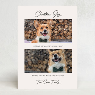 joie d'animaux Custom Stationery
