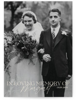 Beloved and Remembered by Sabrin Deirani