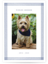 Pencil Lines Memorial Cards