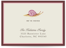 Snail Mail Moving Announcements