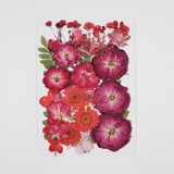 Pressed Flowers | "Fancy Red" | Red | 29 pcs