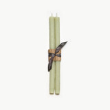 12" Twig Tapers (pair) Celadon Candles