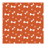 Dog Snacks and Stars by Jan Shepherd
