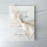 2" x 5 yards Signature Sheer - Soft Cream Ribbons