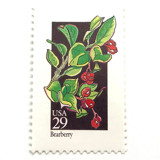Bearberry Postage Stamps | American Wildflower Series | Red Flower | Botanical | Vintage Unused USPS Postage 29c | Pack of 10 Postage Stamps