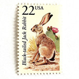 Black-Tailed Jack Rabbit Postage Stamps | North American Wildlife Series | Vintage Unused USPS Postage 22c | Pack of 10 Postage Stamps