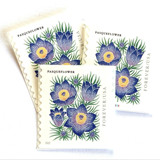 Pasqueflower Postage Stamps | Mountain Flora Series | Wedding Stamps | Vintage Unused USPS Postage Forever Stamps | Pack of 10 Postage Stamps