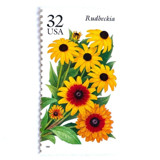 Rudbeckia Postage Stamps | Black-eyed Susan | Fall Garden Flowers | Garden Flowers Series | Botanical | Wedding Stamps | Vintage Unused USPS Postage 32c | Pack of 10 Postage Stamps