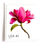 Magnolia Postage Stamps | Beautiful Blooms Series | Pink Flowers | Vintage Unused USPS Postage 41c | Pack of 10 Postage Stamps