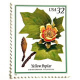 Yellow Poplar Postage Stamps | Flowering Trees | Indiana and Tennessee State Tree | Wedding Stamp | Vintage Unused USPS Postage 32c | Pack of 10 Postage Stamps