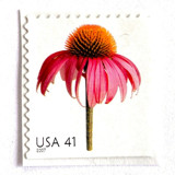 Coneflower Postage Stamps | Beautiful Blooms Series | Echinacea | Pink Flowers | Vintage Unused USPS Postage 41c | Pack of 10 Postage Stamps