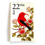 Iiwi Bird Postage Stamps | North American Wildlife Series | Vintage Unused USPS Postage 22c | Pack of 10 Postage Stamps